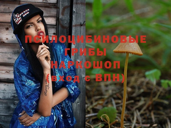 мдпв Зерноград