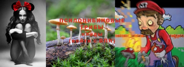 соль курить ск Заволжье