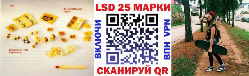блэк спрут как войти  Знаменск  Лсд 25 экстази кислота 