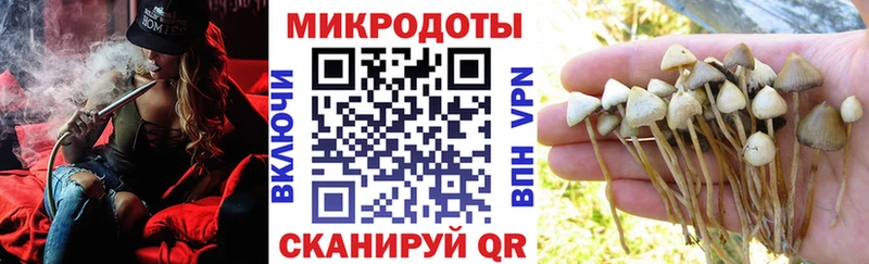 это клад Знаменск Галлюциногенные грибы мицелий блэк спрут tor